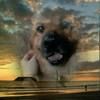 shiloh_bryan